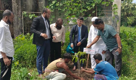 সেনবাগে দুই শিক্ষা প্রতিষ্ঠানে গাছের চারা রোপণ করলো পূবালী ব্যাংক