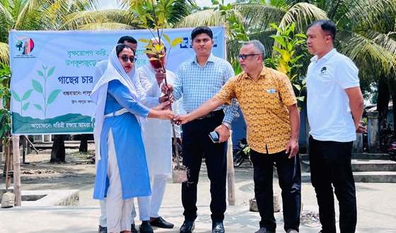 কলাপাড়ায় শিক্ষার্থীর গাছের চারা বিতরণ, উৎসবমুখর পরিবেশ