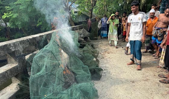 মোল্লাহাটে ৩৫টি চায়না দুয়ারী জব্দ, বিনষ্ট
