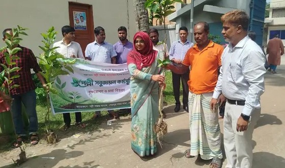 পল্লী সঞ্চয় ব্যাংক শেরপুর সদর শাখার  গাছের চারা বিতরণ