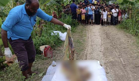 মধুখালীতে বস্তায় ছয় টুকরো অজ্ঞাত যুবকের মরদেহ উদ্ধার