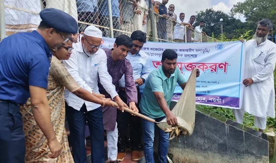 সাপাহারে প্রাতিষ্ঠানিক জলাশয়ে মাছের পোনা অবমুক্ত