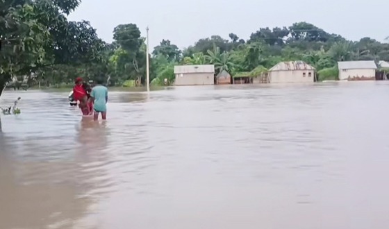 বাঘায় সাপের কামড়ে গৃহবধুর মৃত্যু, আতঙ্কে পদ্মার চরের মানুষ