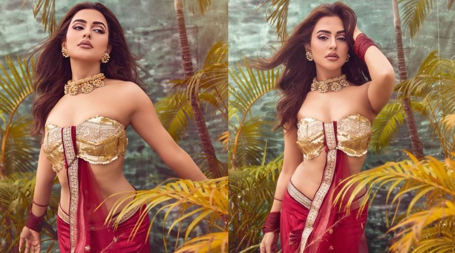যে কারণে ‘ট্রাইব্যুনাল’ থেকে সরে দাঁড়ালেন নুসরাত