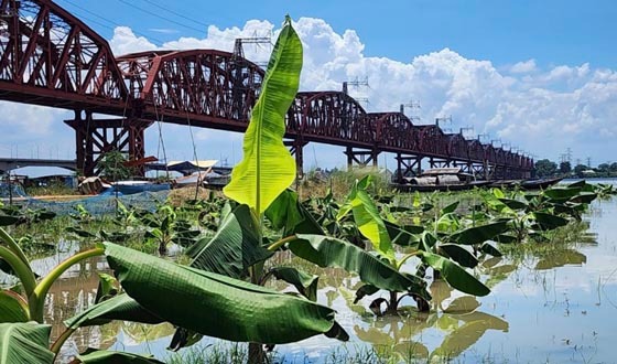 পদ্মায় বাড়ছে পানি, আতঙ্কে ঈশ্বরদীর নদীপাড়ের মানুষ