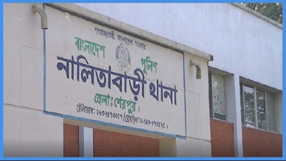 নালিতাবাড়ীতে ভাতিজার লাঠির আঘাতে চাচার মৃত্যু