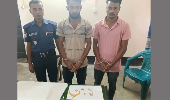 কালীগঞ্জে প্রবাসীর বাড়িতে ৩০ লাখ টাকার স্বর্নালংকার চুরি, আটক ২