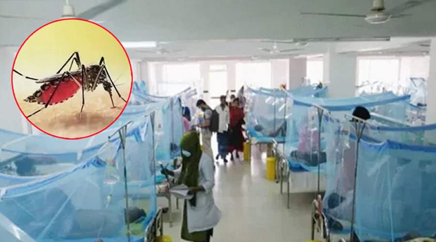 ডেঙ্গুতে আরও ৭ জনের মৃত্যু, একদিনে হাসপাতালে সর্বোচ্চ রোগী