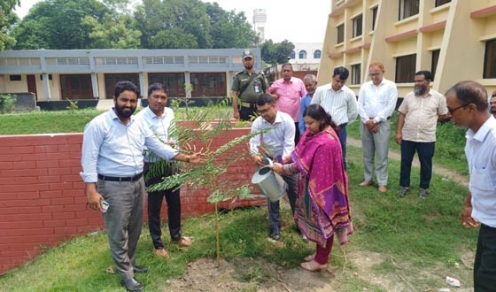 সৈয়দপুর উপজেলা প্রশাসনের নিজস্ব পুকুর পাড়ে বৃক্ষরোপণ