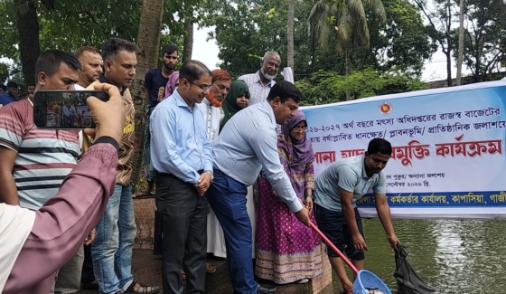 কাপাসিয়ায় মৎস অফিসের উদ্যোগে পোনা মাছ অবমুক্তকরণ ও বিতরণ