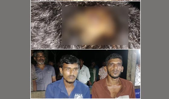 বাবুগঞ্জে গাঁজা সেবনের প্রতিবাদ করায় দুই যুবককে মারধর