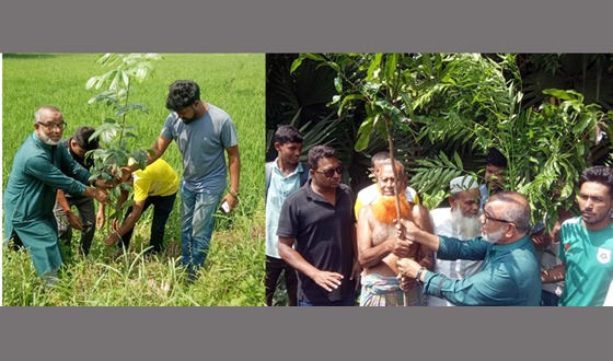 মেলান্দহে বৃক্ষরোপন ও বিতরণ