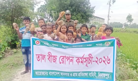 বিরলে শিক্ষার্থীদের পরিবেশের ভারসাম্য রক্ষায় তালবীজ রোপন