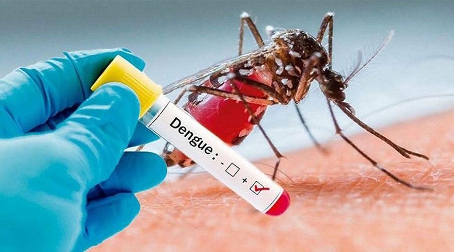ডেঙ্গুতে একদিনে ৫ মৃত্যু, হাসপাতালে ভর্তিতে চলতি বছরের রেকর্ড