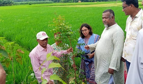 মহাদেবপুরে লোকমোর্চার উদ্যোগে গ্রামীণ সড়কে বৃক্ষরোপণ