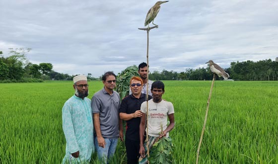 শেরপুরে পাখি শিকার বন্ধে বিশেষ অভিযান