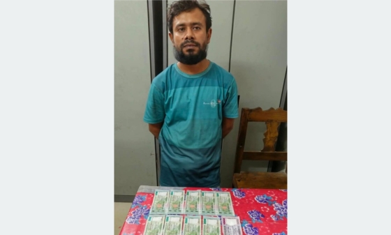 কাপাসিয়ায় জাল টাকা বিকাশ করতে গিয়ে এক যুবক আটক