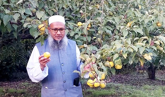 পাহাড়ে সম্ভাবনা বনাম আমাদের সংঘাত: চীনা অভিজ্ঞতা - নীলফামারীর হাকীম সবুজ