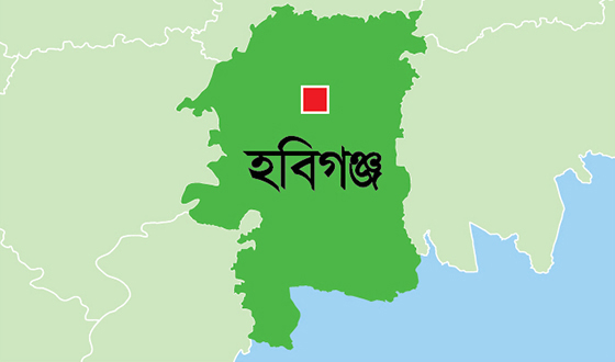 মাধবপুরে বিএনপির প্রার্থী এস.এম ফয়সলের লিফলেট বিতরণ