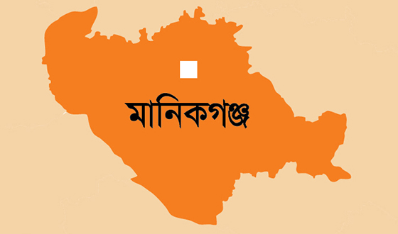 মেয়ের চুরি হওয়া গরুর গাড়ি থামাতে গিয়ে পিতার মৃত্যু