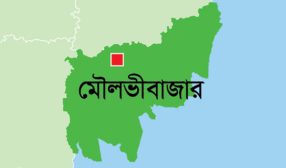 কমলগঞ্জে এক সপ্তাহে শিক্ষিকাসহ ৩ নারী খুন