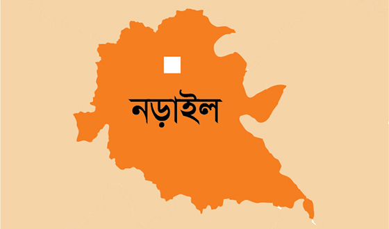 নড়াইলে ২ভাইয়ের যাবজ্জীবন কারাদন্ড