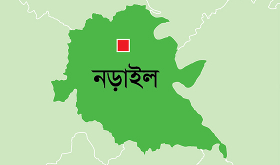 নড়াইলে ২ভাইয়ের যাবজ্জীবন কারাদন্ড