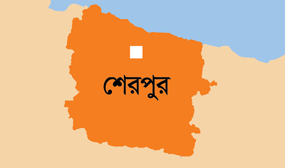 নকলায় পুকুরে ডুবে প্রাণ গেল শিশুর