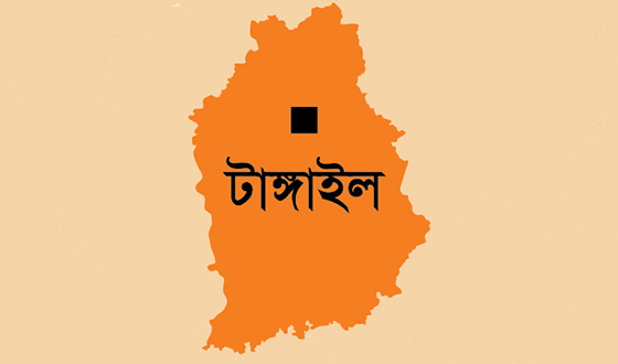 দেলদুয়ারে মাটি খেকোদের কবল থেকে রক্ষা পেল কালি মন্দির