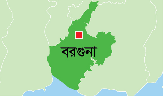 টিসিবি’র ডাল পাচার তদন্তে মন্থরগতি