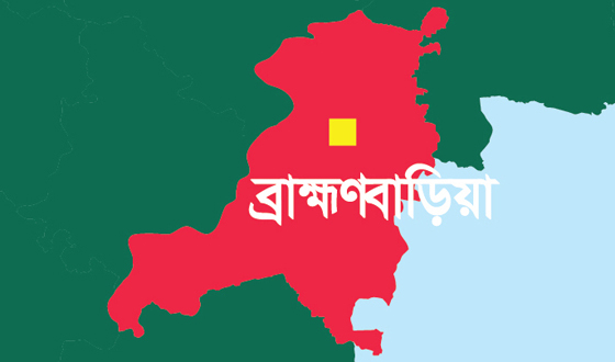 ব্রাহ্মণবাড়িয়া-২ আসনে বিএনপি দলীয় প্রার্থী চান নেতাকর্মীরা