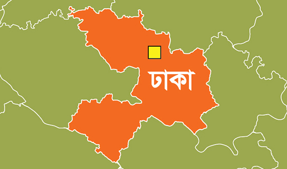 মুক্তিযুদ্ধ অবমাননাকারী পিনাকী-ইলিয়াসের বিচার চাই : মোমিন মেহেদী