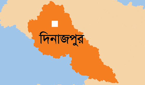 হিলি সীমান্তে রেললাইনের ব্রিজ সংস্কার কাজে বিএসএফ'র বাধা
