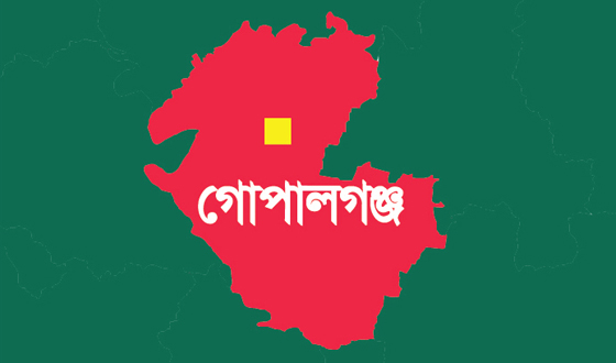 মুকসুদপুরে গণপিটুনিতে গরু চোরের মৃত্যু, ১৯৩ জনের নামে মামলা