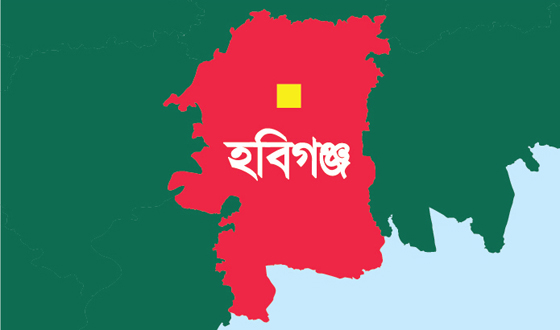 মাধবপুরে চাঁদ রাতে স্ত্রীকে হত্যা করে পালিয়ে গেল স্বামী