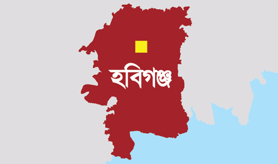 হবিগঞ্জে বাগান থেকে যুবকের ঝুলন্ত মরদেহ উদ্ধার