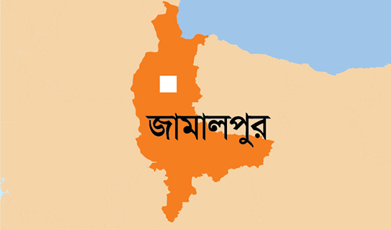 মেলান্দহে বুদ্ধিজীবি ও বিজয়  দিবসের প্রস্তুতি সভা