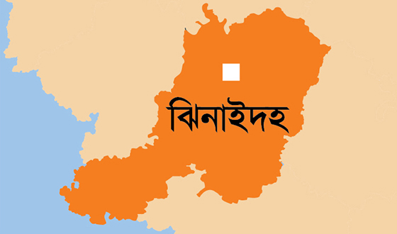 এলাকায় মানহীন বীজে লোকসানে কৃষক