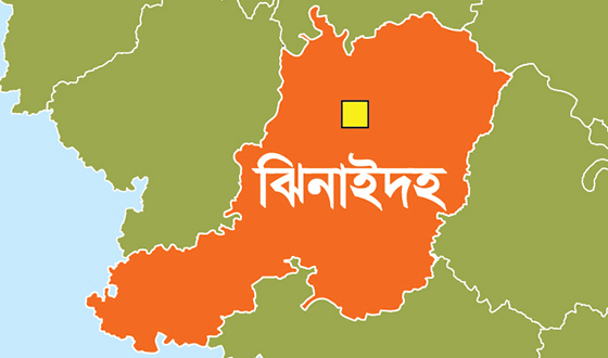 শৈলকুপায় মাঠে জমি চাষ করতে গিয়ে  হার্ট অ্যাটাকে কৃষকের মৃত্যু