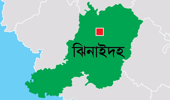 ঝিনাইদহে অপারেশন ডেভিল হান্টে গ্রেফতার ৪