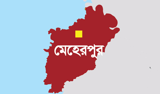 মেহেরপুরের গাংনীতে বিল্ডিংয়ের ছাদ ধসে ভিক্ষুকের মৃত্যু