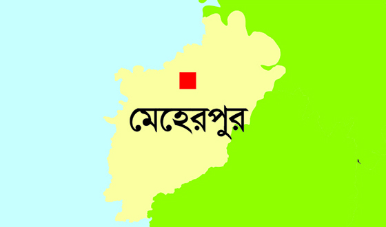 মেহেরপুরের গাংনীতে বিল্ডিংয়ের ছাদ ধসে ভিক্ষুকের মৃত্যু