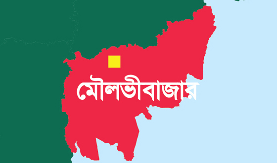 শ্রীমঙ্গলে ভ্রাম্যমান আদালতের অভিযানে ৫ প্রতিষ্ঠানকে জরিমানা