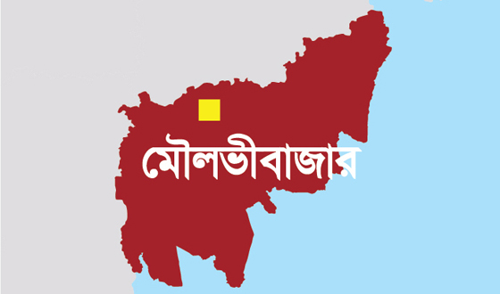 নববধু গাড়ীতেই হৃদযন্ত্রের ক্রিয়া বন্ধ হয়ে মৃত্যু