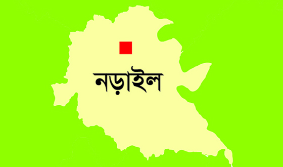 নড়াইলে ২ভাইয়ের যাবজ্জীবন কারাদন্ড