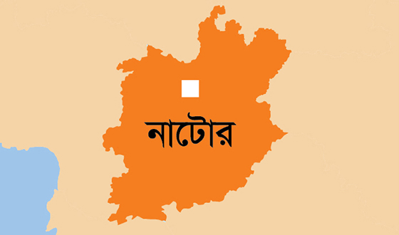 বড়াইগ্রামে পিকআপের ধাক্কায় নৈশপ্রহরীর মৃত্যু