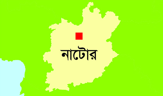 বড়াইগ্রামে অগ্নিকান্ডে দুটি বাড়ি ভস্মিভূত : আহত তিন