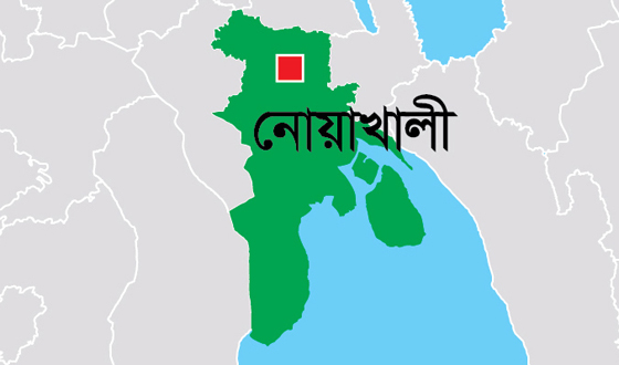 সেনবাগে এইচএসসিও সমমানের পরীক্ষায় উত্তীর্ণ শিক্ষার্থীদের সংবর্ধনা