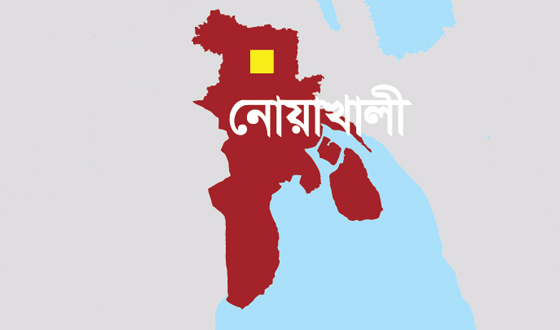 সেনবাগের দুই আওয়ামীলীগ নেতা গ্রেফতার