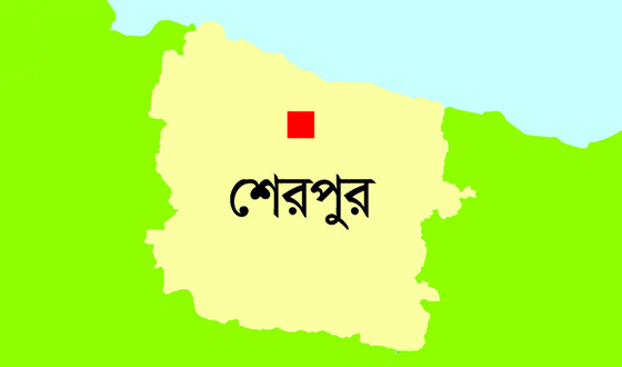 নকলায় বিদ্যুতায়িত হয়ে ড্রামট্রাক চালক নিহত